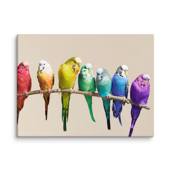 Canvas Wrapped Colorful Birds Wall Art